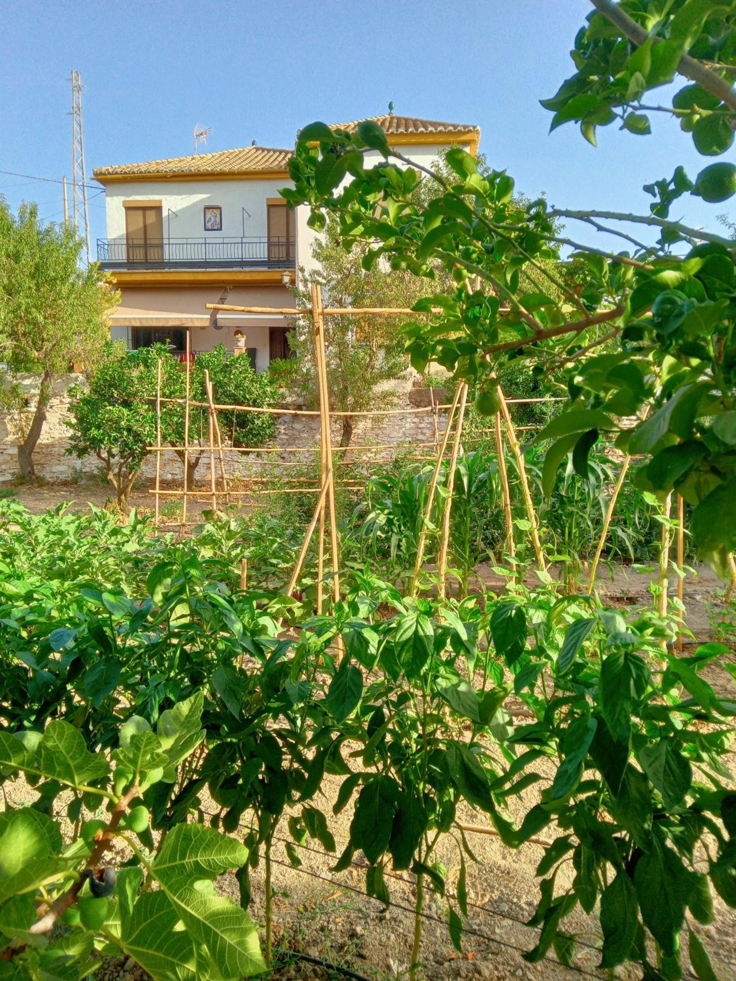 Tuguest Hortichuela House Villa Ugijar Екстериор снимка