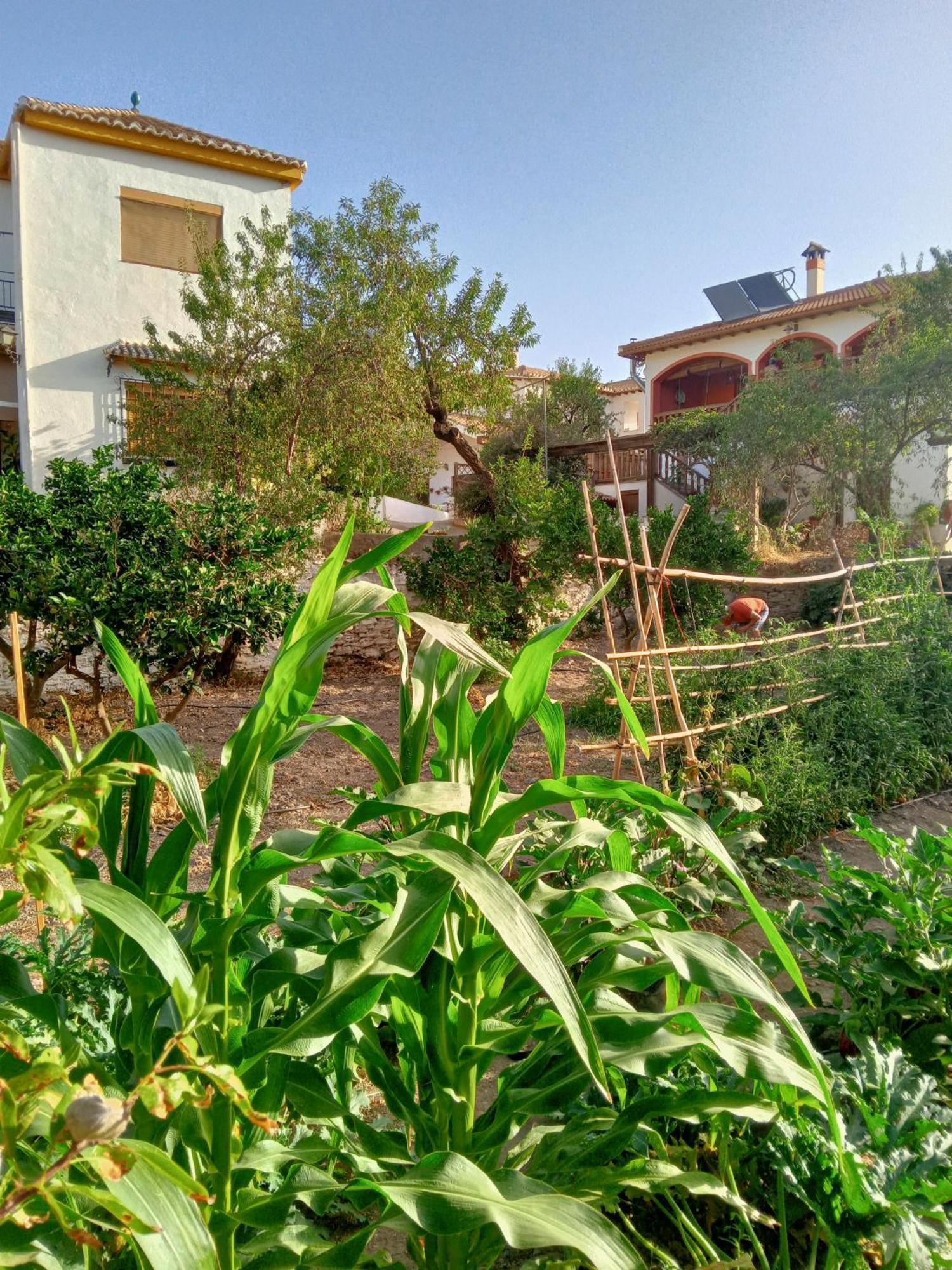 Tuguest Hortichuela House Villa Ugijar Екстериор снимка
